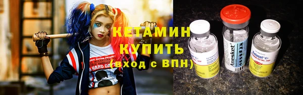 индика Елизово