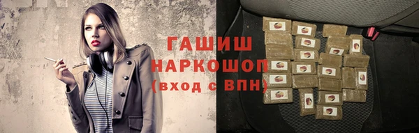 индика Елизово