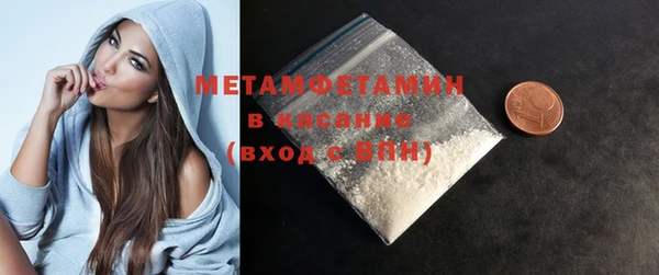 индика Елизово