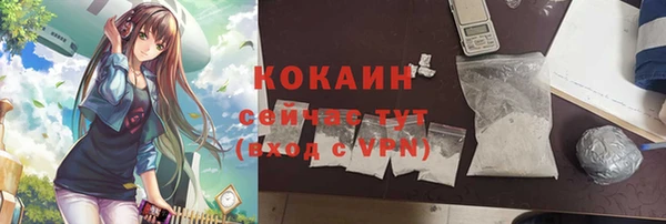 индика Елизово