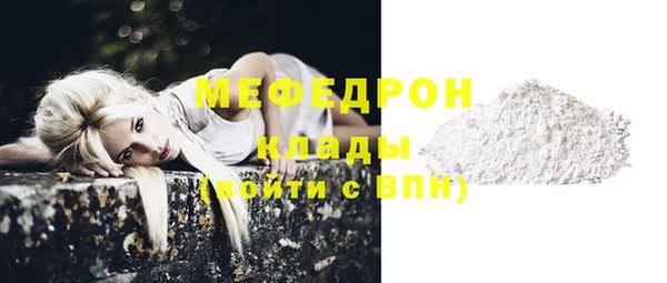 индика Елизово