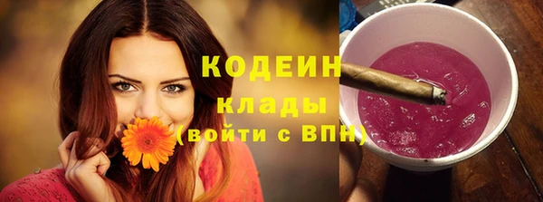 индика Елизово