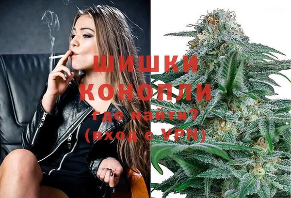 индика Елизово