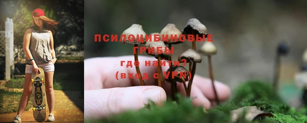 каннабис Ельня
