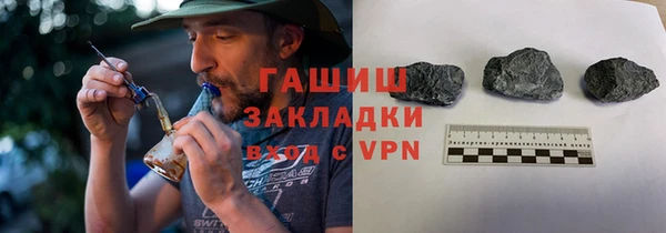 индика Елизово