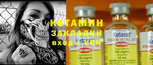 индика Елизово
