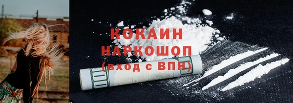 индика Елизово