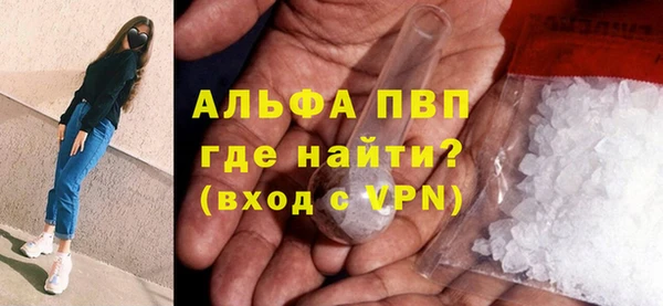 индика Елизово