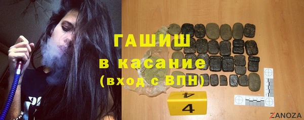 индика Елизово