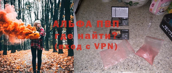 индика Елизово
