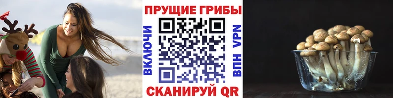 магазин продажи наркотиков  кракен ссылки  Галлюциногенные грибы мухоморы  Инсар 